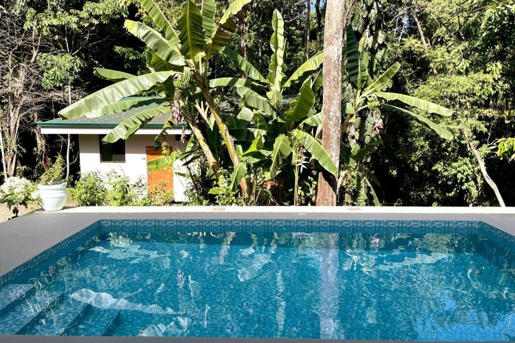 An Abundance Of Wildlife At Jungle Glory Home Abajo Manuel Antonio Zewnętrze zdjęcie