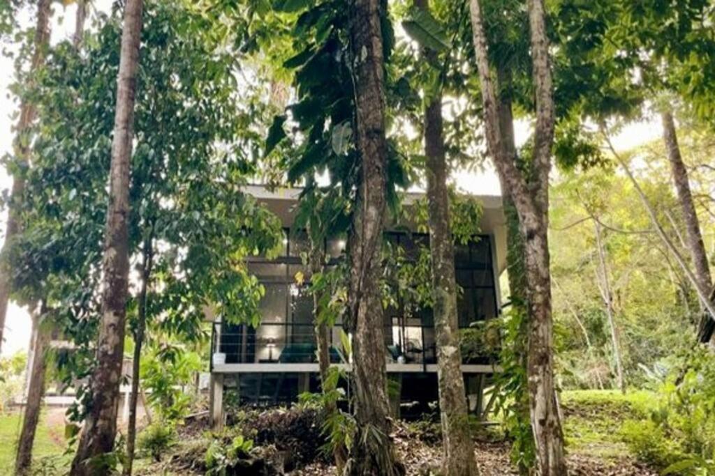 An Abundance Of Wildlife At Jungle Glory Home Abajo Manuel Antonio Zewnętrze zdjęcie