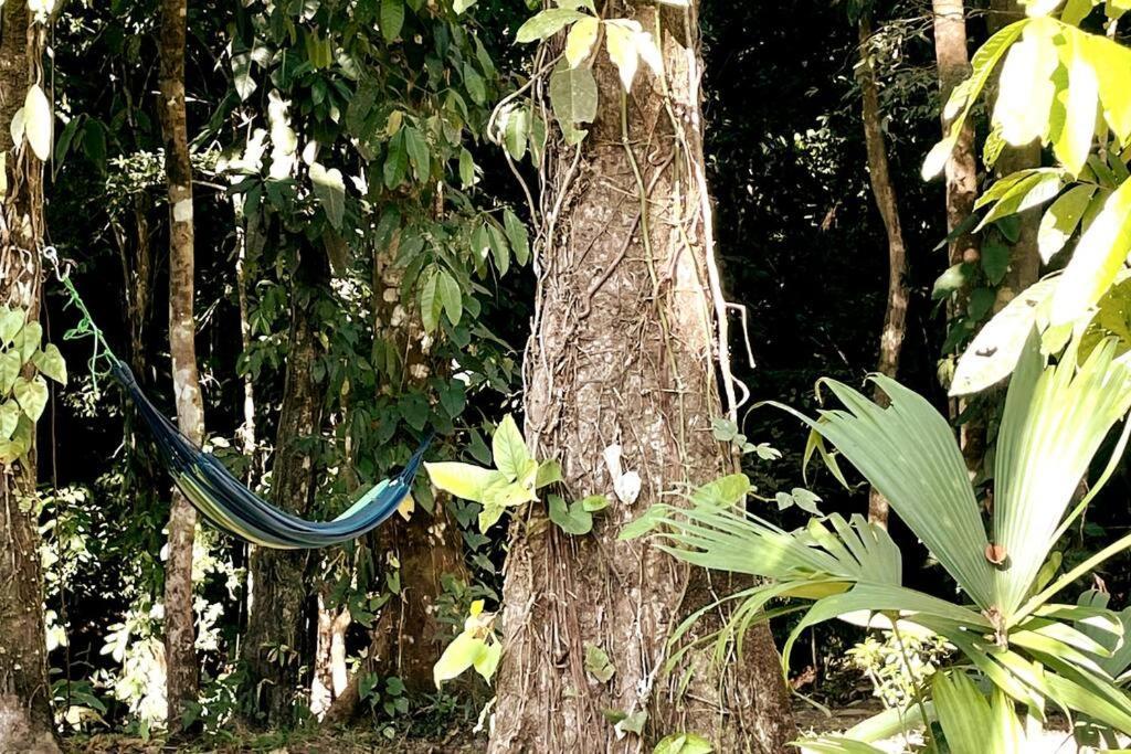 An Abundance Of Wildlife At Jungle Glory Home Abajo Manuel Antonio Zewnętrze zdjęcie