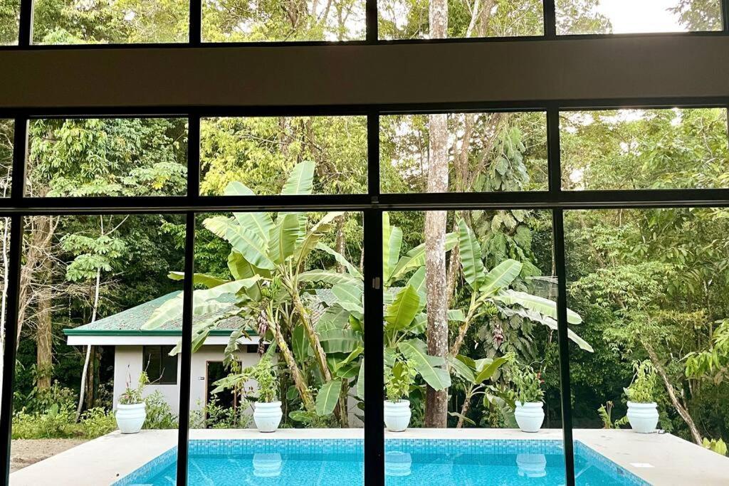 An Abundance Of Wildlife At Jungle Glory Home Abajo Manuel Antonio Zewnętrze zdjęcie