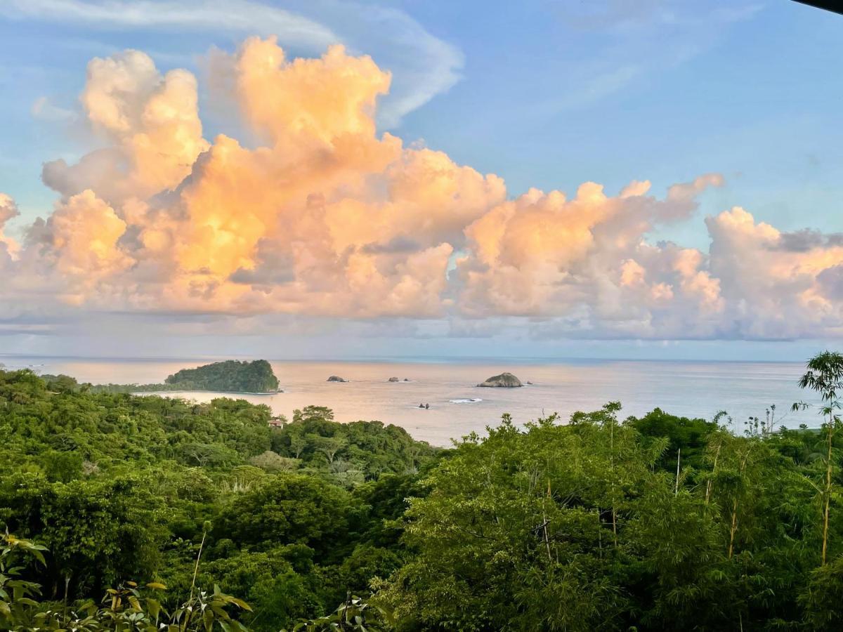 An Abundance Of Wildlife At Jungle Glory Home Abajo Manuel Antonio Zewnętrze zdjęcie